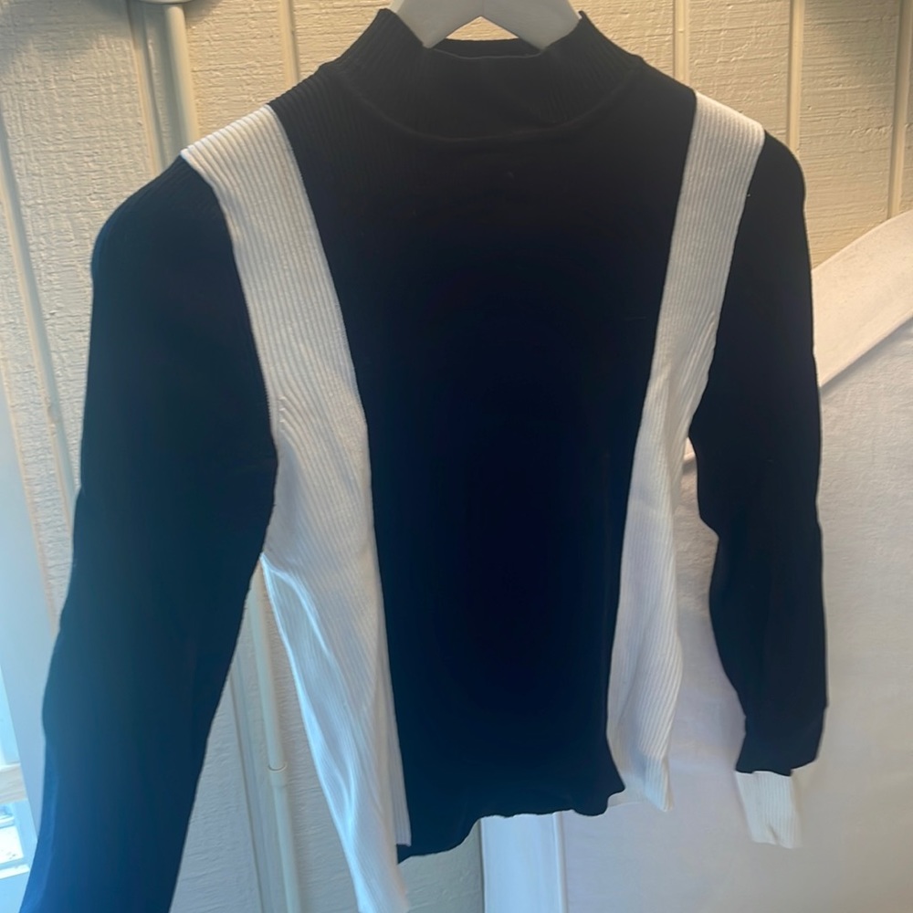 ZARA KNIT long sleeve high neck top in M